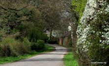 back lane.jpg